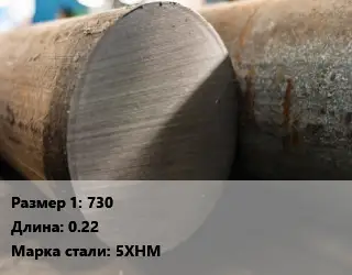 Поковка круглая 730 L=0.22 Сталь: 5ХНМ